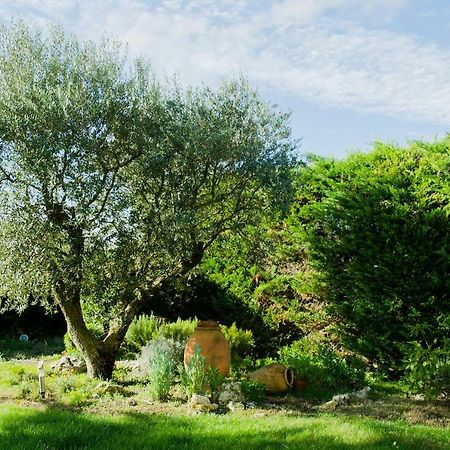 B&B Tina De Pacs, Close To Local Wineries Pacs del Penedes 外观 照片