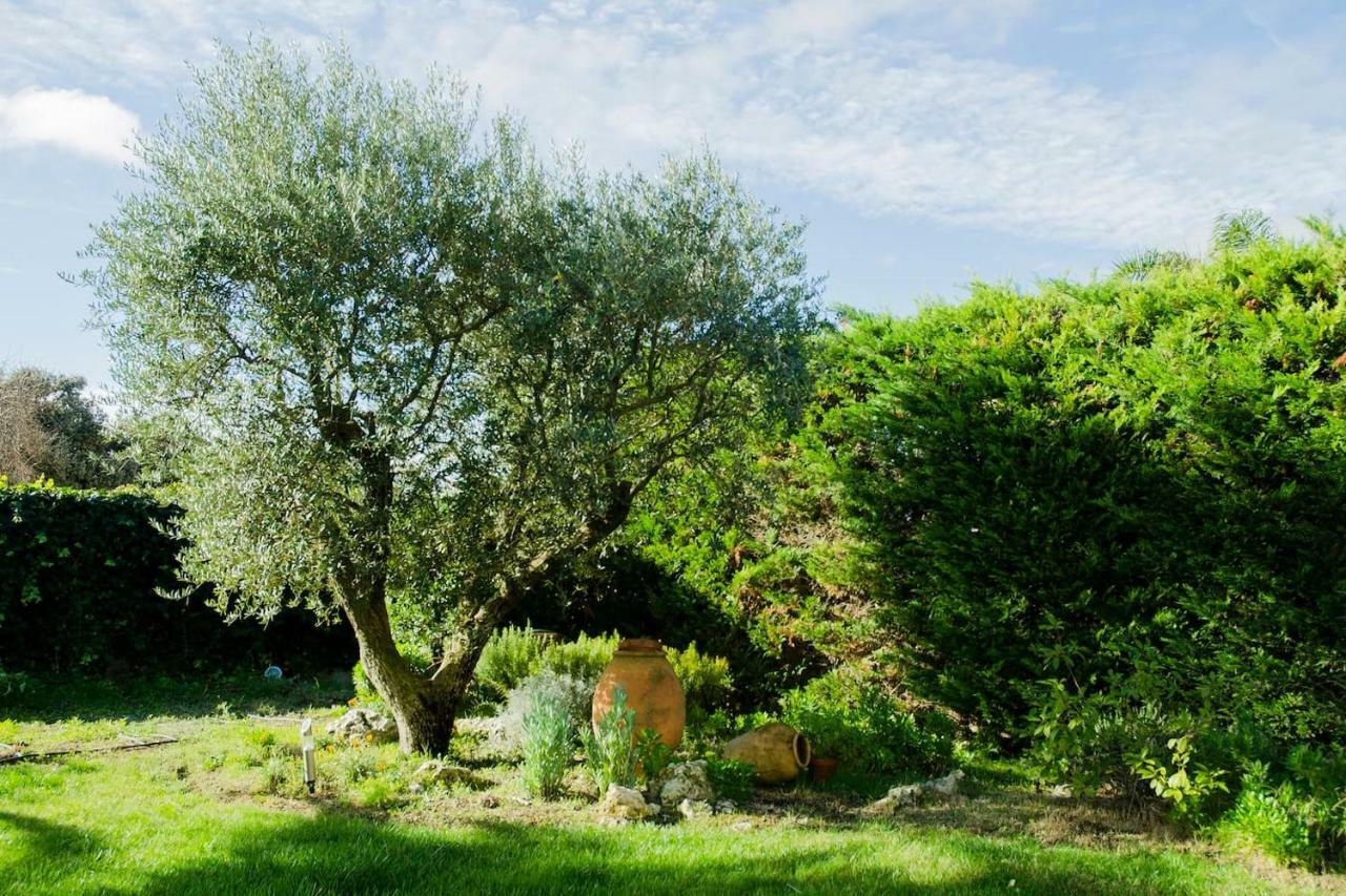 B&B Tina De Pacs, Close To Local Wineries Pacs del Penedes 外观 照片