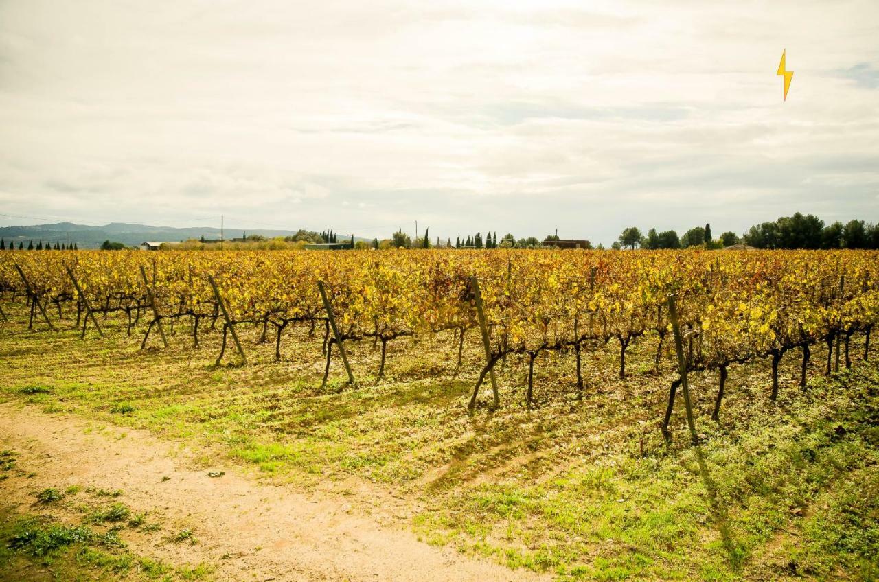 B&B Tina De Pacs, Close To Local Wineries Pacs del Penedes 外观 照片